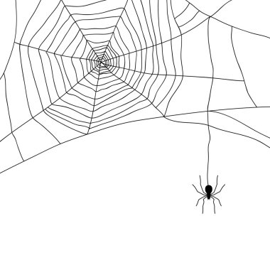 Örümcek ve web üzerinde beyaz, vektör izole