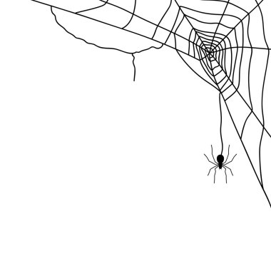 Örümcek ve web üzerinde beyaz, vektör izole 