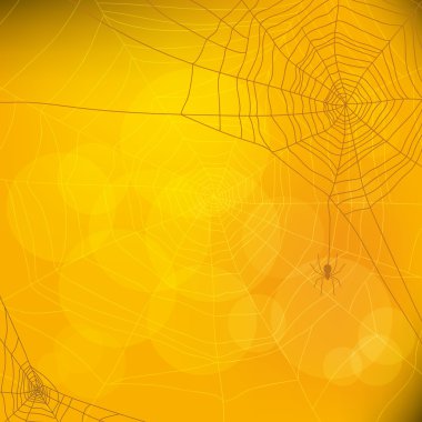 Cadılar Bayramı sonbahar örümcek ağı ile arka plan, vektör 