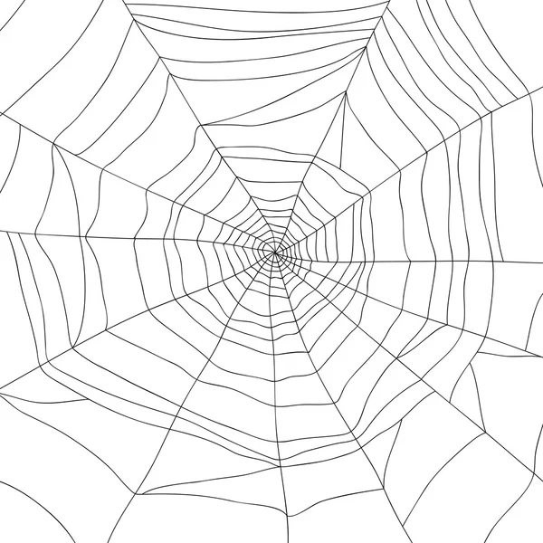 Araña y tela aisladas en blanco, vector — Vector de stock