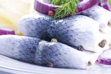 Rollmops bir plaka üzerinde