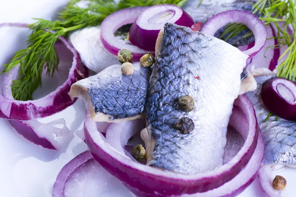 Arenques en un plato —  Fotos de Stock