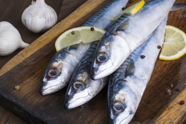 Uskumru ahşap tablo