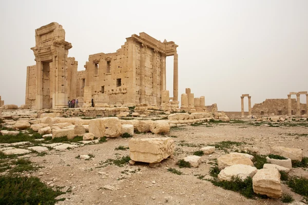 Eski Palmyra, Suriye tapınakta. 9 Mart 2010 — Stok fotoğraf