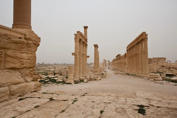 Main street eski Palmyra, Suriye. 9 Mart 2010 — Stok fotoğraf