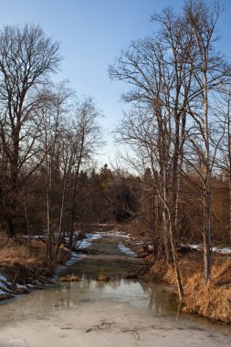erken ilkbaharda peyzaj