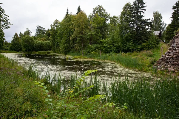 Naturalny Letni Krajobraz Rzeką Drzewami Park Vasilevo Obwód Twerski Rosja — Zdjęcie stockowe