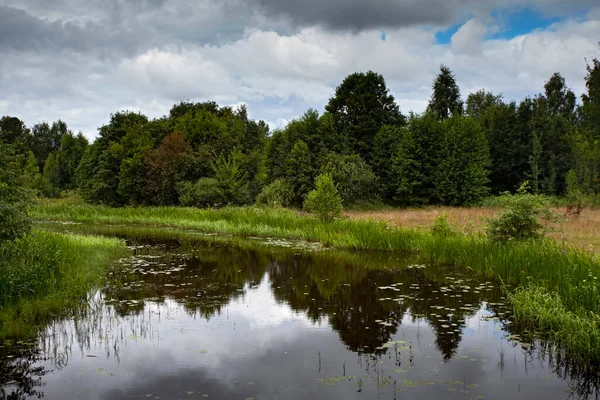 荒天時には川や木が立ち並ぶ自然の夏の風景 — ストック写真