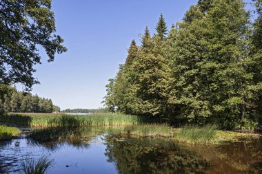 Rusya, Vyborg 'daki Monrepos Parkı' nda göl