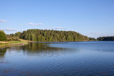 Karelia 'da yaz gölü, yatay doğal manzara