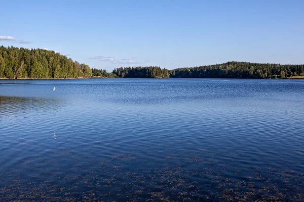 Letní Jezero Karelii Vodorovná Přírodní Krajina — Stock fotografie