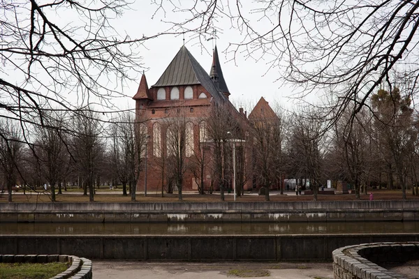 Catedral de Koenigsberg Templo gótico del siglo XIV. El símbolo de Kaliningrado (hasta 1946 Koenigsberg), Rusia — Foto de Stock