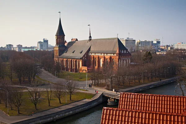 Kaliningrad kathedraal, uitzicht vanaf de vuurtoren van de "Fishing Village". Rusland — Stockfoto