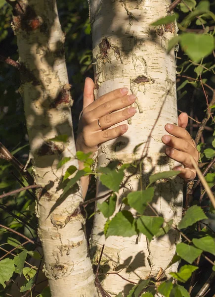 Kız bir ağaç gövdesi sarılma eller. Huş tutmak için. — Stok fotoğraf