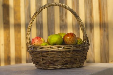 Organik elma sepeti yaz çim.