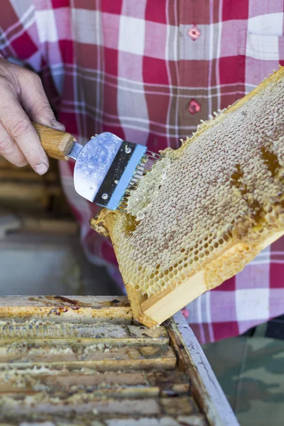 Utskrift av vaxkakor, verktyg för att öppna honungskakor — Stockfoto