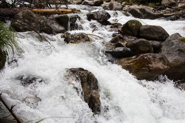 L'écoulement de l'eau dans une rivière de montagne claire. Protection de l'environnement. — Photo