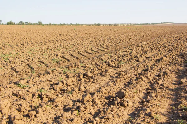 Landwirtschaftlicher Hintergrund der neu gepflügten Ackerfurchen, bereit für neue Ernten. lizenzfreie Stockfotos