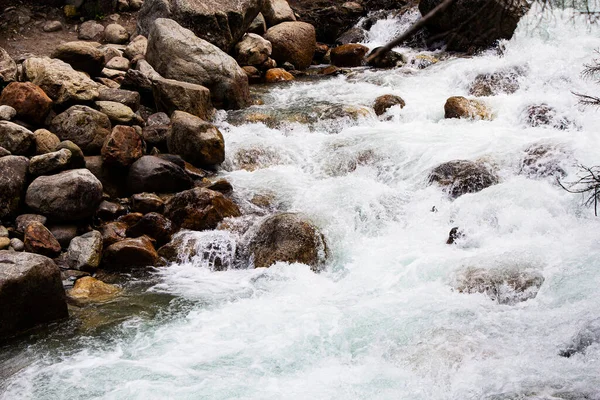 Écoulement Eau Dans Une Rivière Montagne Claire Protection Environnement — Photo