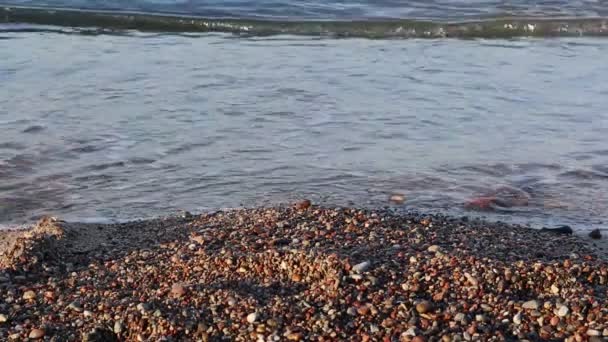 Belo pôr do sol na praia, cores incríveis, feixe de luz brilhando através da paisagem nublada — Vídeo de Stock