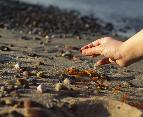 Amber Baltık sahil üzerinde bulunan bazı parçaları