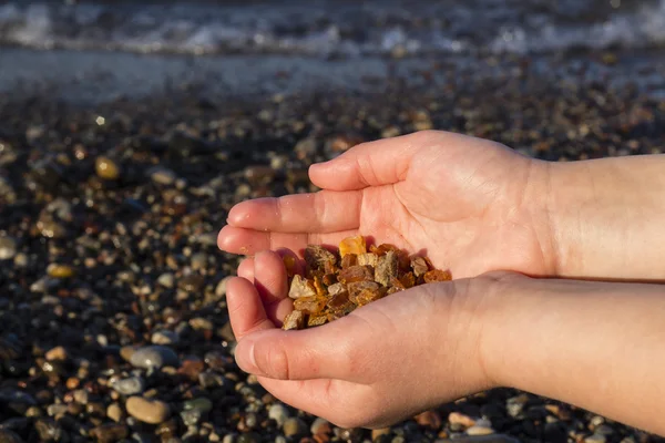 Amber Baltık sahil üzerinde bulunan bazı parçaları