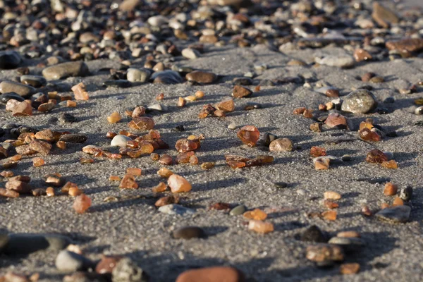 琥珀色在波罗的海海滨找到了一些碎片 — 图库照片#