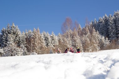 Mutlu çocuklar kış vakti kızakla kayıyor. Bir grup çocuk kışın iyi vakit geçiriyor..