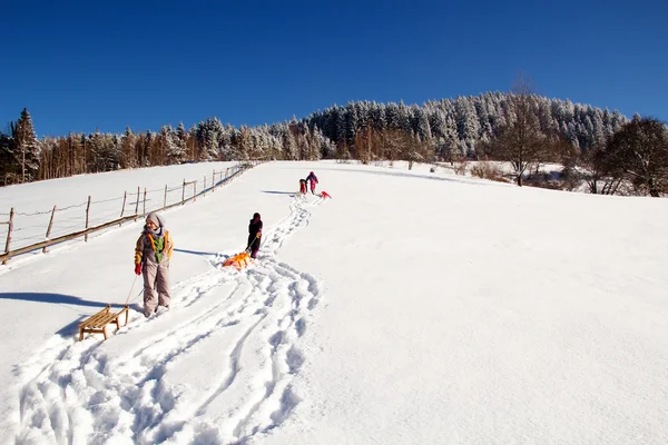 快乐的孩子在冬天。孩子们在雪地里玩。儿童 — 图库照片