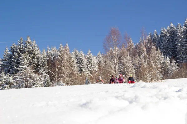 Mutlu Çocuklar Kış Vakti Kızakla Kayıyor Bir Grup Çocuk Kışın — Stok fotoğraf