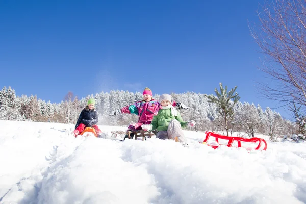 Vrolijke Kinderen Sleeën Winter Groep Kinderen Brengt Een Leuke Tijd — Stockfoto