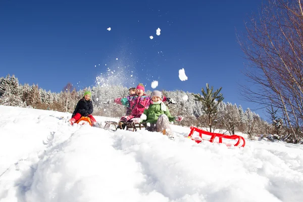 Glückliche Kinder Beim Rodeln Winter Kindergruppe Verbringt Schöne Zeit Winter — Stockfoto