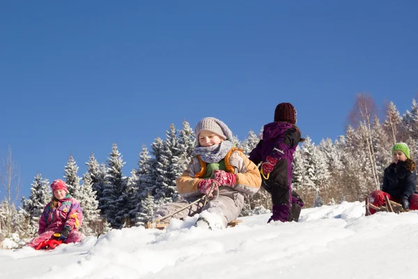 Niños Felices Trineo Invierno Grupo Niños Pasando Buen Rato Invierno Fotos De Stock