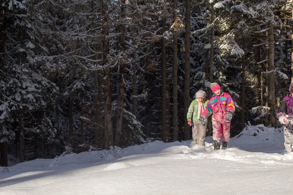 Crianças Felizes Andar Trenó Inverno Grupo Crianças Passando Bom Tempo — Fotografia de Stock