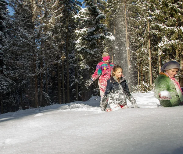 Crianças Felizes Andar Trenó Inverno Grupo Crianças Passando Bom Tempo — Fotografia de Stock