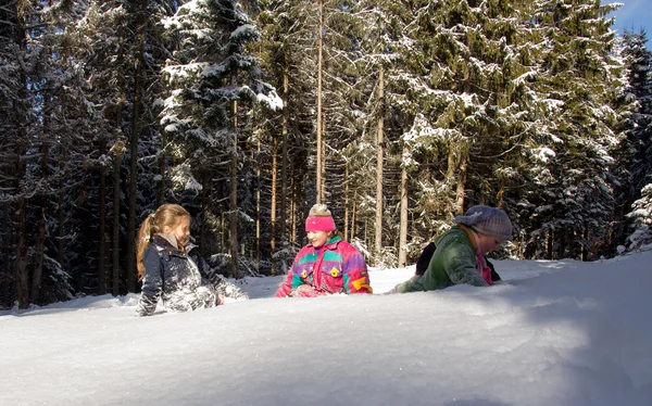 Bambini Felici Slittino Inverno Gruppo Bambini Trascorrere Bel Tempo Inverno — Foto Stock