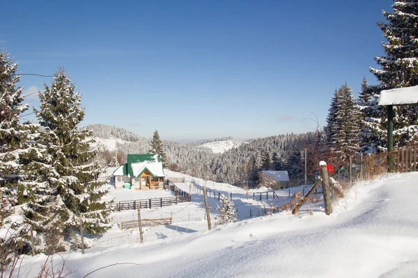 Schöner Wald Winter Hintergrund — Stockfoto