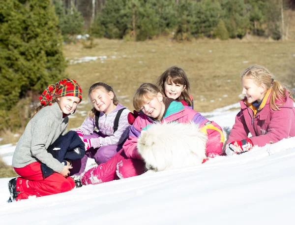 Bir Grup Çocuk Karda Samoinli Köpekle Oynuyorlar — Stok fotoğraf