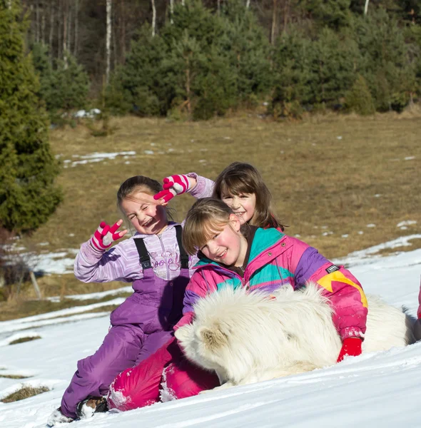 Grupp Barn Leker Med Samoyed Hund Snön — Stockfoto