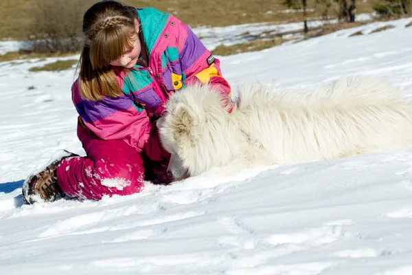 Niña Jugando Con Samoyed Nieve —  Fotos de Stock