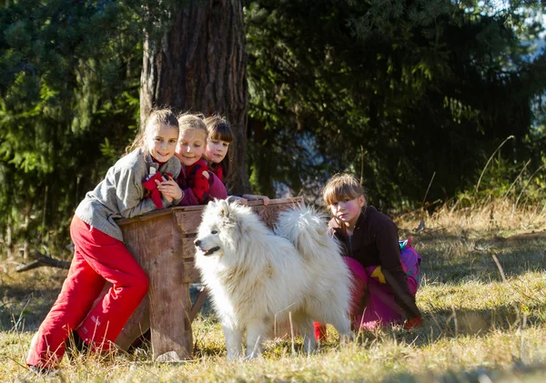 Groep Kinderen Met Hond Natuur Achtergrond — Stockfoto