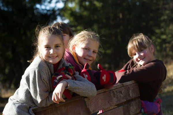 Gruppo Bambini Sullo Sfondo Della Natura — Foto Stock