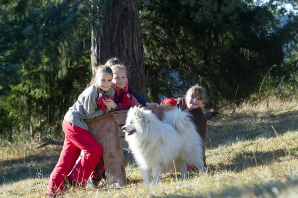 Group Children Dog Nature Background — Stock Photo, Image