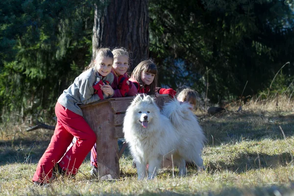 Grupo Crianças Com Cão Fundo Natureza — Fotografia de Stock
