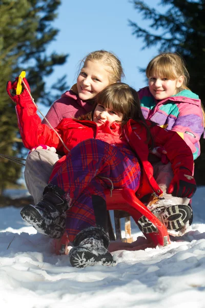 Cute Children Sledge Winter — Stock Photo, Image