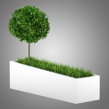 ağaç ve otların arasında beton ekici gri arka plan üzerinde izole