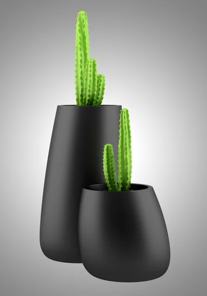 Two cactuses in pots isolated on gray background — Stock Photo, Image