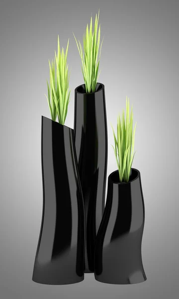 Three houseplants in black vases isolated on gray background — Stock Photo, Image