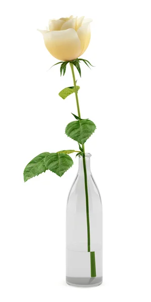 オレンジ ローズの白い背景に分離されたガラス花瓶 — ストック写真