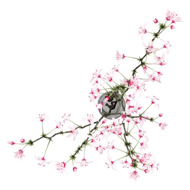 çiçekli ağaç dal cam vazoda beyaz izole Üstten Görünüm